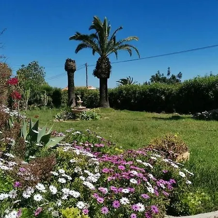 Vista Mediterraneo Villa *